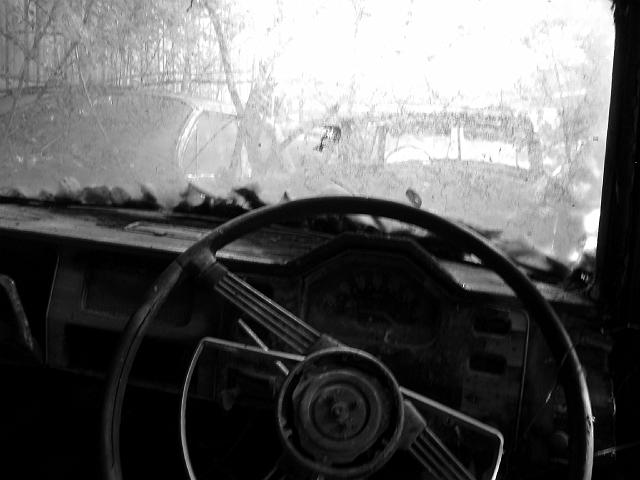 Autofriedhof - 173.JPG - Historischer Autofriedhof,    Gürbetal (CH)